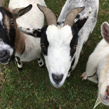 Et Yourte Le Tucaou Avec Bains Nordiques