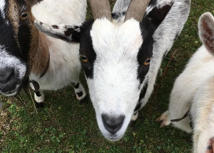 Le Milan Et Son Bain Nordique Privatif